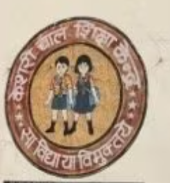 Keshari Bal Shiksha Kendra Inter College Company logo